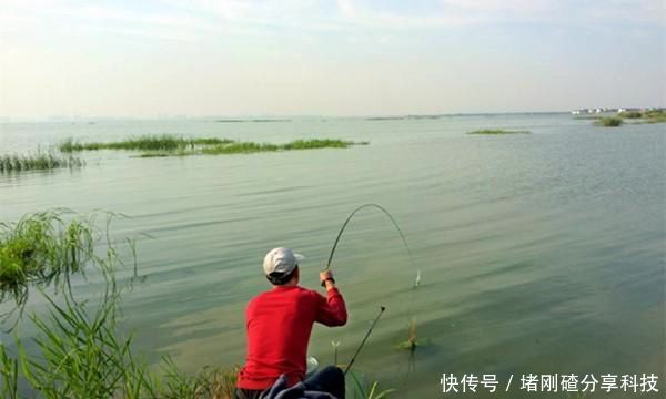 #常用#清明过后鲫鱼应该这样钓,几个常用老套路,让你轻松钓到的大鲫鱼