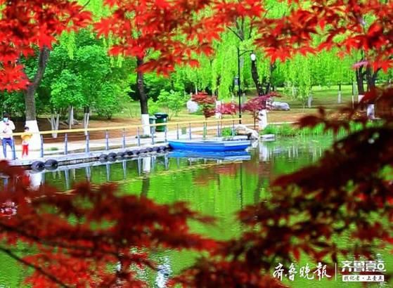  『送给』一场降雨过后，送给济南一个如此美丽的立夏