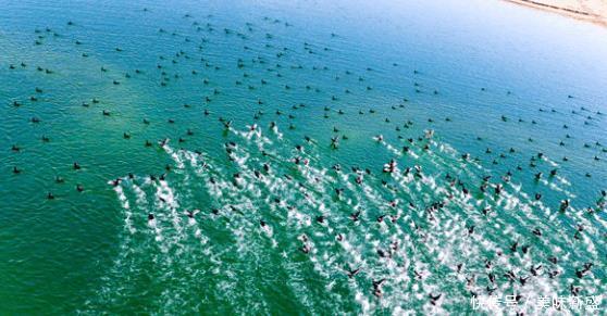 塔克拉玛干沙漠腹地现湖群, 比巴西千湖沙漠还美, 却鲜为人知!