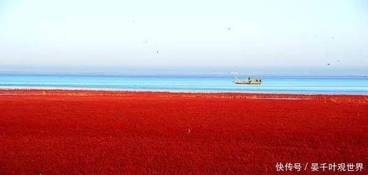 粉红海滩,世界12个特色海滩,你知道的有几个?