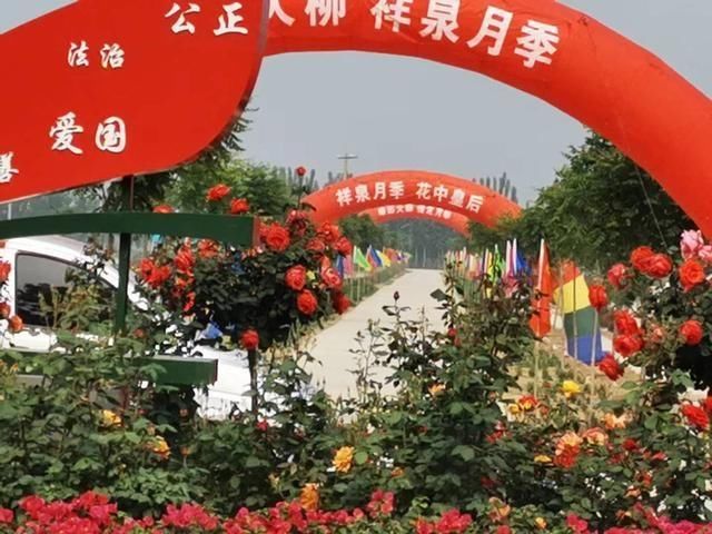  月季■月季为媒 虎头崖扶贫对接产业项目“异地开花”