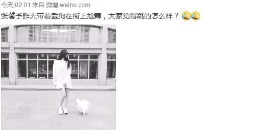 张馨予带爱犬在大街上疯狂跳舞，怀孕1个月的传闻不攻而破