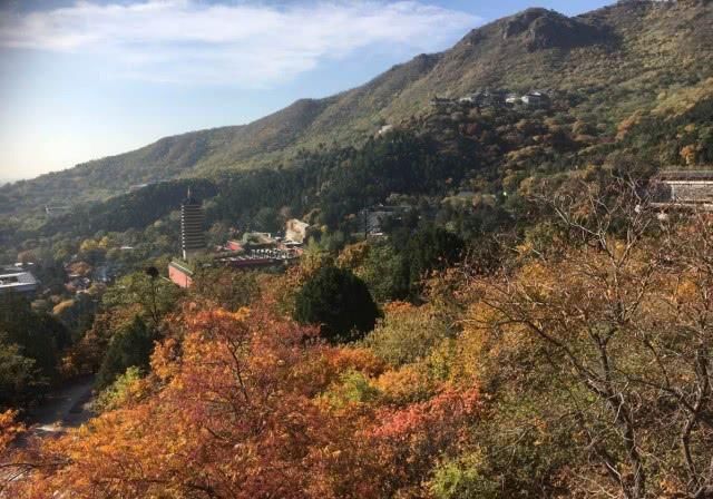 北京西山十二景之“深秋红叶”，如期而至！