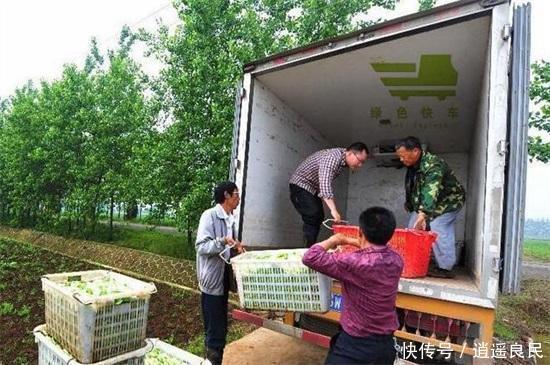  「市场」农村最缺什么市场，十种投资回报大的农村项目