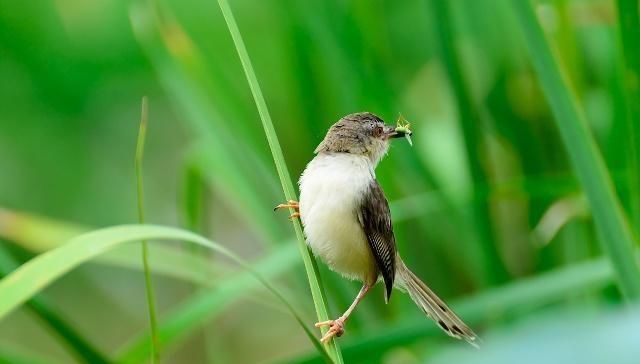 悲哀的摄影师与流氓摄影人