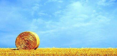 国宣布将对粮食加征25%的关税,一场更恐怖的