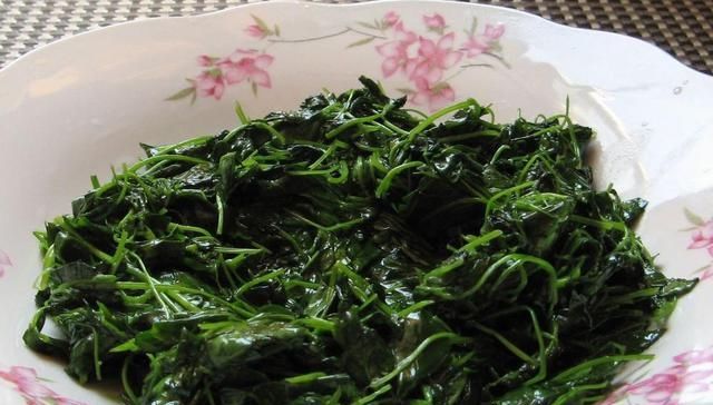  「苜蓿」种植超2千年，曾被农民用来喂猪，如今15元一斤成高钙野