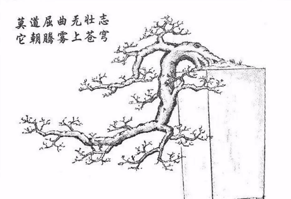  「难度」喜欢悬崖式，就是造型有难度？其实只因为心中没图，这里参考有数