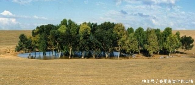 科学家为什么阻止人们把沙漠变成森林？变成森林不是更好吗？可算