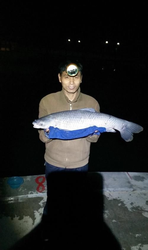  「子线」水里有鱼，可它好像跟我有仇一样偏偏不吃鱼饵！我用这几招搞定它！