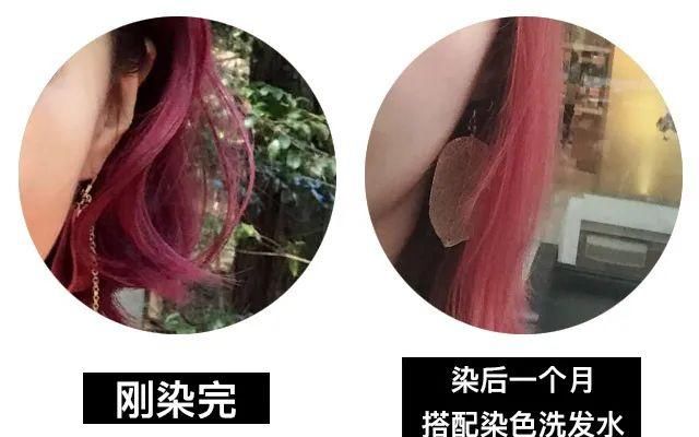  「好奇心」王菊染发失败的案例 成功勾起我的好奇心