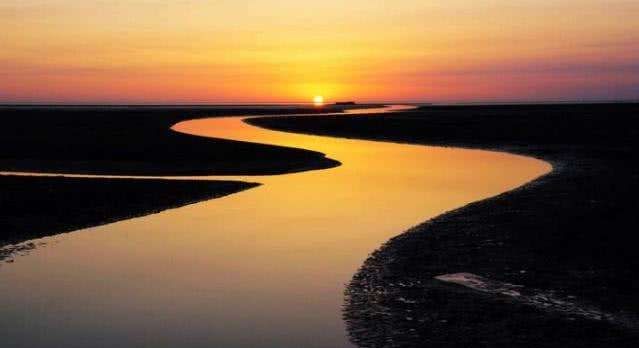 无法在海水中存活，那么当黄河流入大海后，河中的鱼都去哪里了？