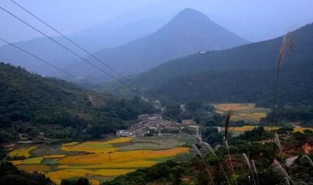 美翻了！广东这些黄金梯田进入最佳观赏期！一年仅一次，快约起