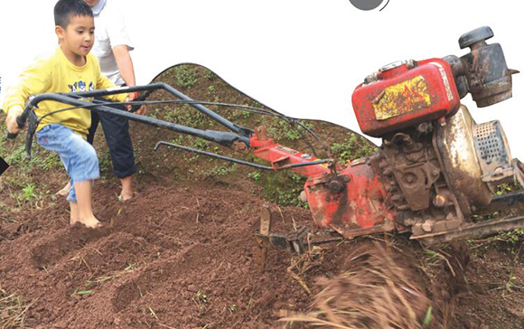 种地毛收入30余万元!七岁“犁田哥”:长大当农民