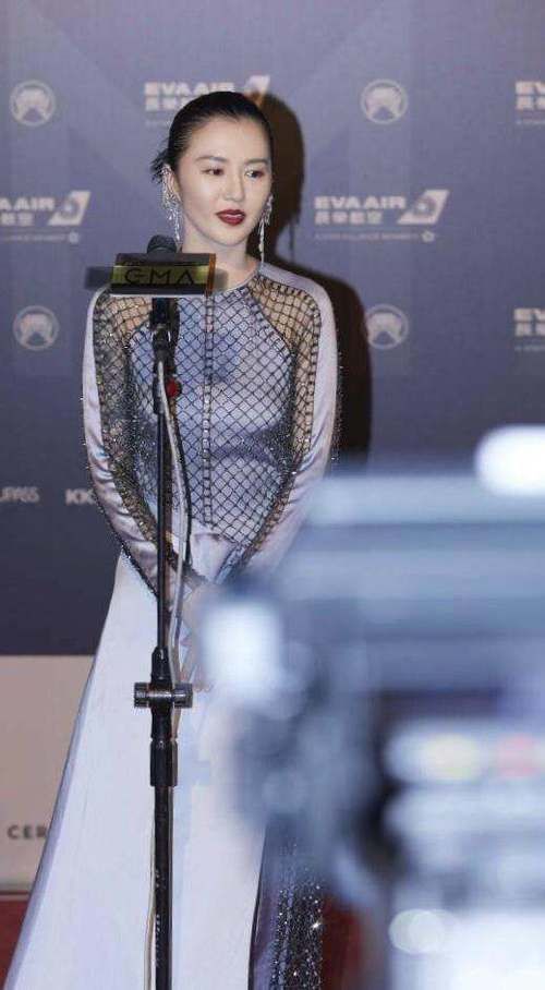 金曲奖的红毯谭维维令人惊艳，张惠妹和她的侄女却让人不敢认！