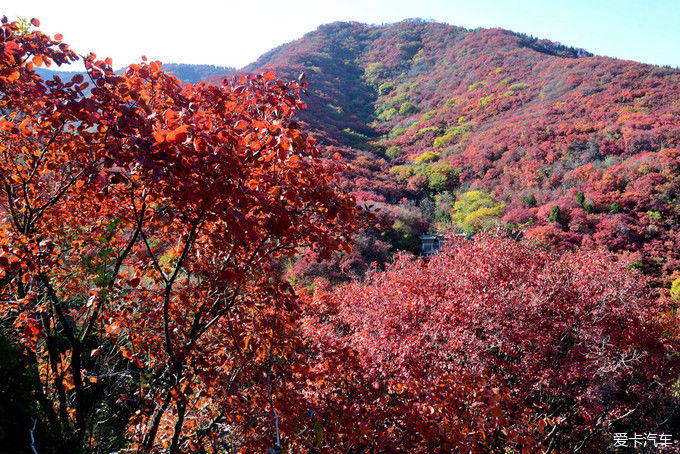 红遍万山的红叶谷【2020热门旅游景点】