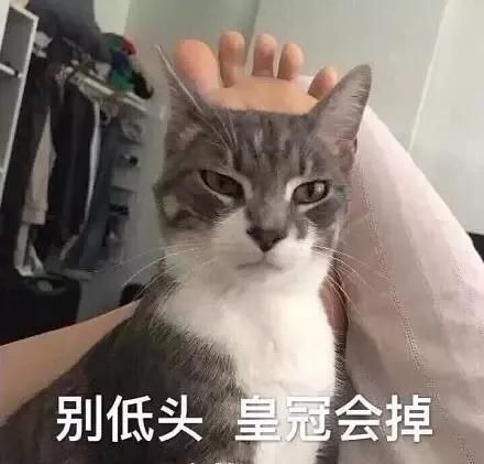 一周造型红黑榜:女明星剃个寸头?可行么