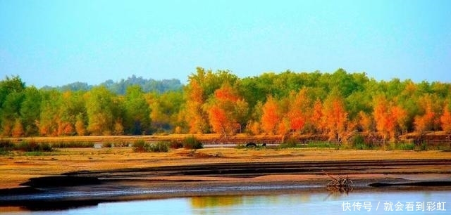  「造就」流域面积超100万km2的塔里木河，曾断流30年，如今造就