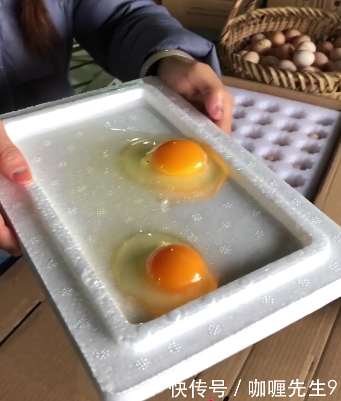 农村姑娘“养鸡不卖鸡”，一年也能赚十几万！