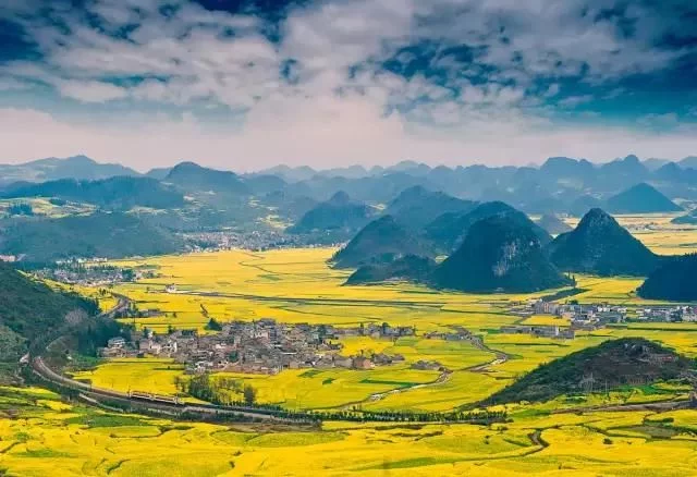 中国最美的油菜花海,油菜花逐渐“染黄”了神州大地