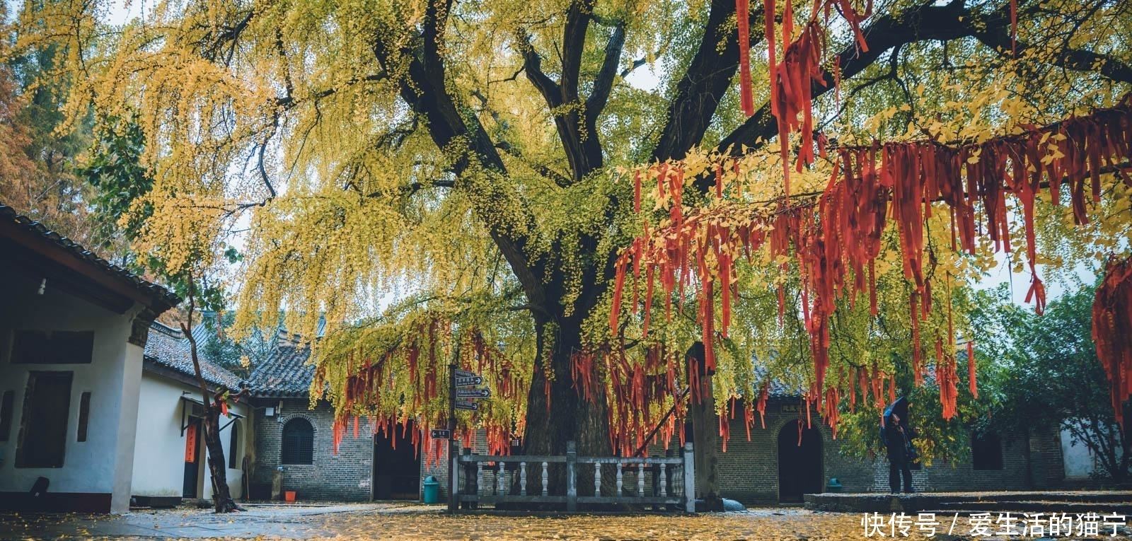 安徽最美秋色即将上线 三个人少景美的赏秋胜地 错过要再等一年