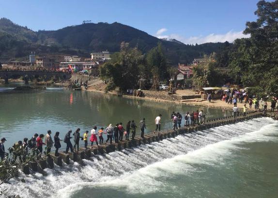 福建因电影闻名的村子，村里一棵“千年古树”，需十人才能围住