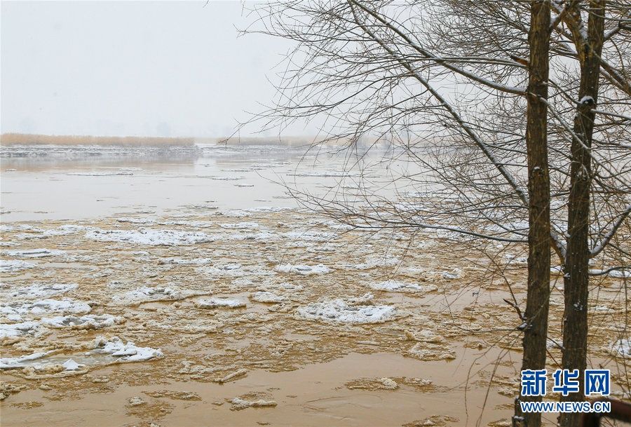 大珠小珠落玉盘 黄河托克托县段现流凌