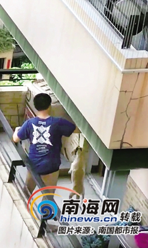 辟谣| 海口"虐狗"视频热传 原是新手驯养不当闹误会