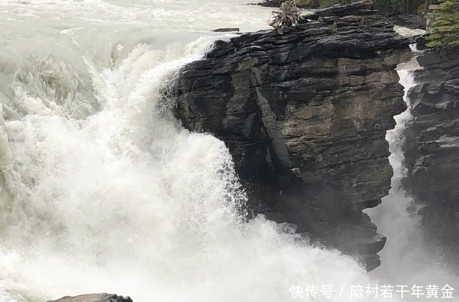世界上最倒霉的老板，无数游客来此自杀，只因风景太好