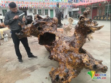 根雕师张旭东:化腐朽为神奇 变废为宝助农增收
