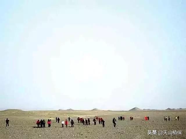 新疆17个捡宝石、玉石的地方 ！