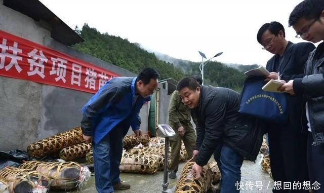 2020年农村低保全面取消，补贴停止下发？确切的消息是这样