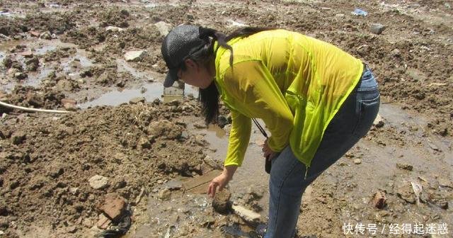 松软的地面现“泉眼”，不断有鲫鱼从地下冒出来，随便捡