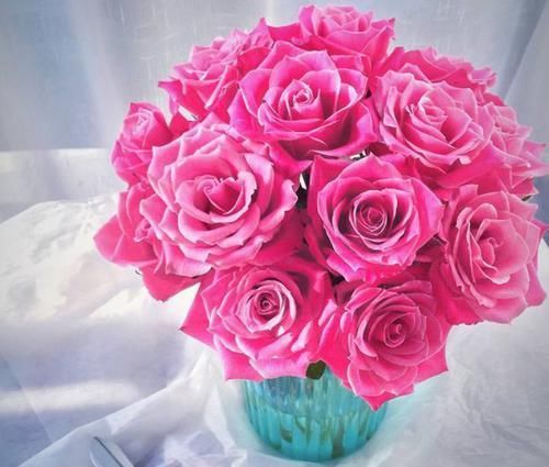  【养盆】喜欢菊花，不如养盆“精品玫瑰”泰姬，花开如美姬，清奇美丽！