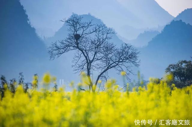 在这些地方的某个角落，遇见一抹春色，足以让你荡漾整个春天