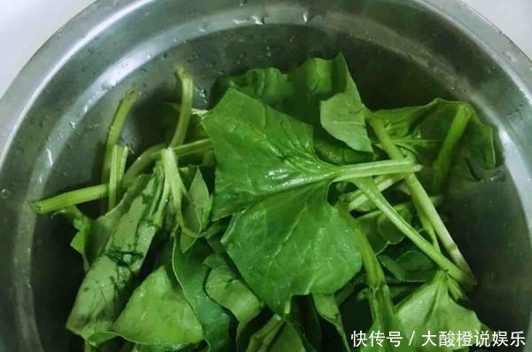  『天冷』这种“蔬菜种子”，撒盆里就活，天冷也冻不死，今年冬天就吃它！