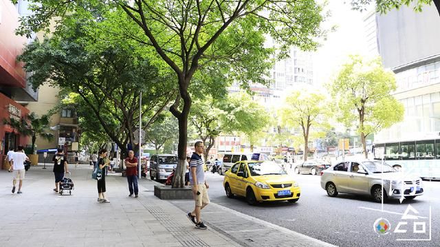 重庆人的谎言已被无情戳破!原来鸳鸯锅的故事都是骗人的