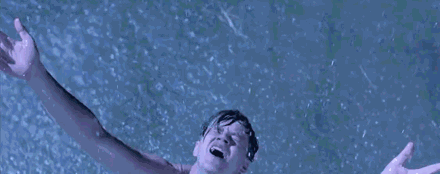 紧急！11号台风“白鹿”即将生成！强度或堪比天鸽