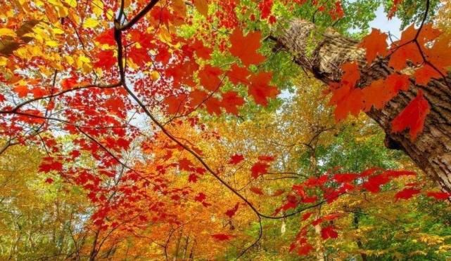 中国“性价比”最高的旅游城市，不会“宰客”，不需宣传人还很多