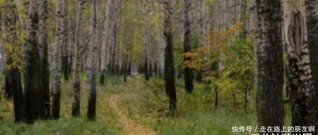 在俄罗斯旅游,看到小木屋千万不要靠近,否则会让你后悔不已