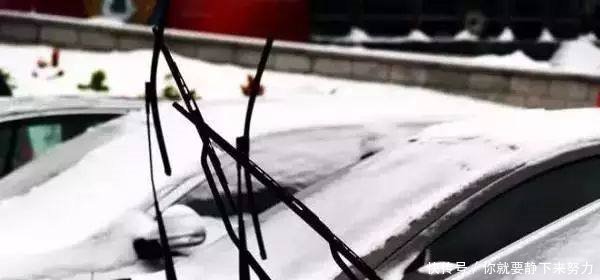 紧急预警降温+降雪来了！山东中到大雪、局部暴雪！