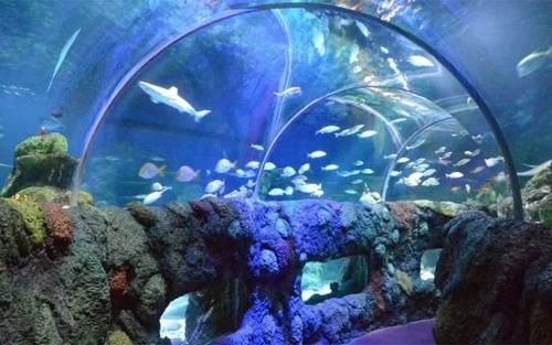  【计划】中国再次登顶世界之最，计划建造世界最大水底隧道，超