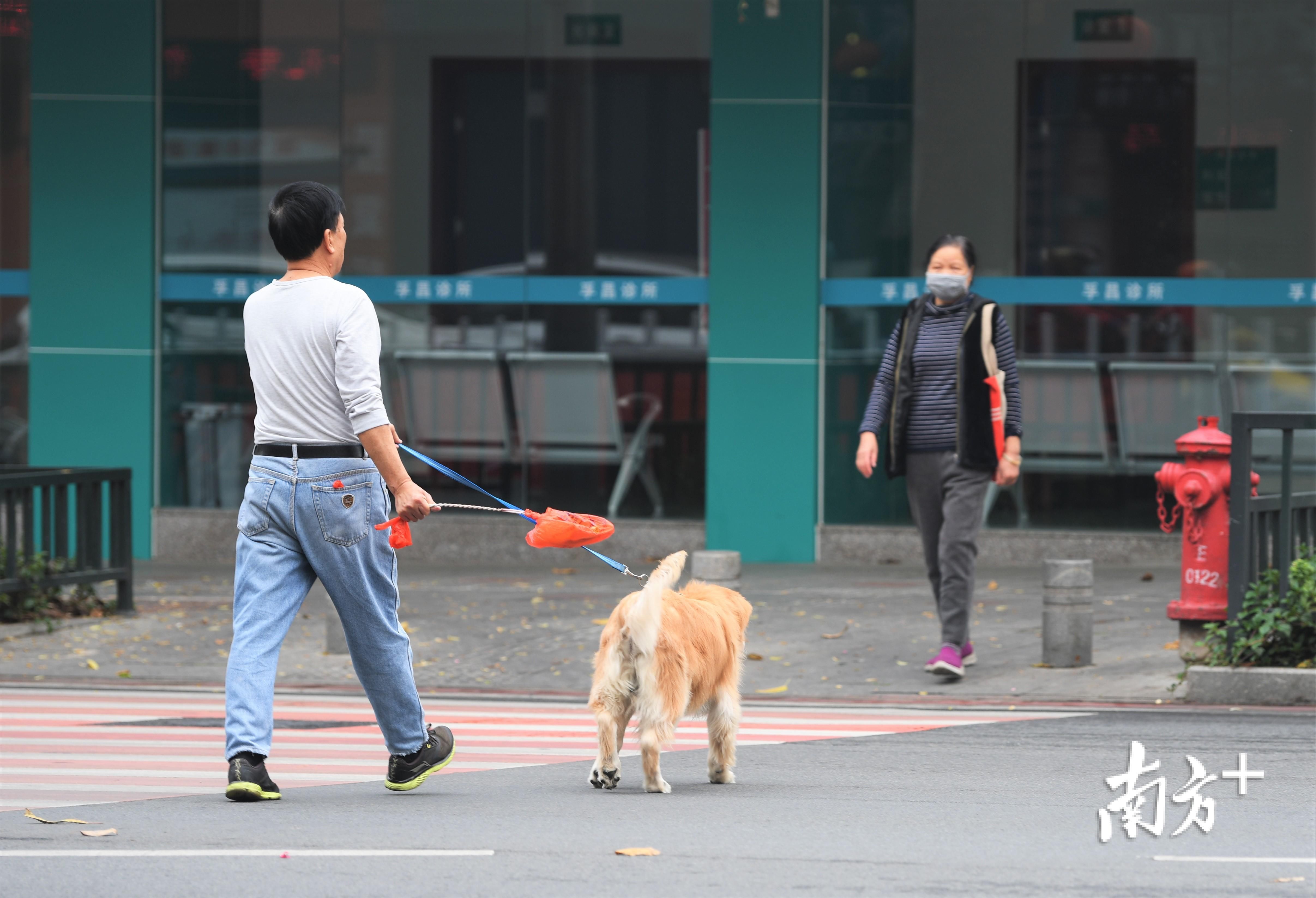  「图集」图集|疫情管控下的江门街头众生相