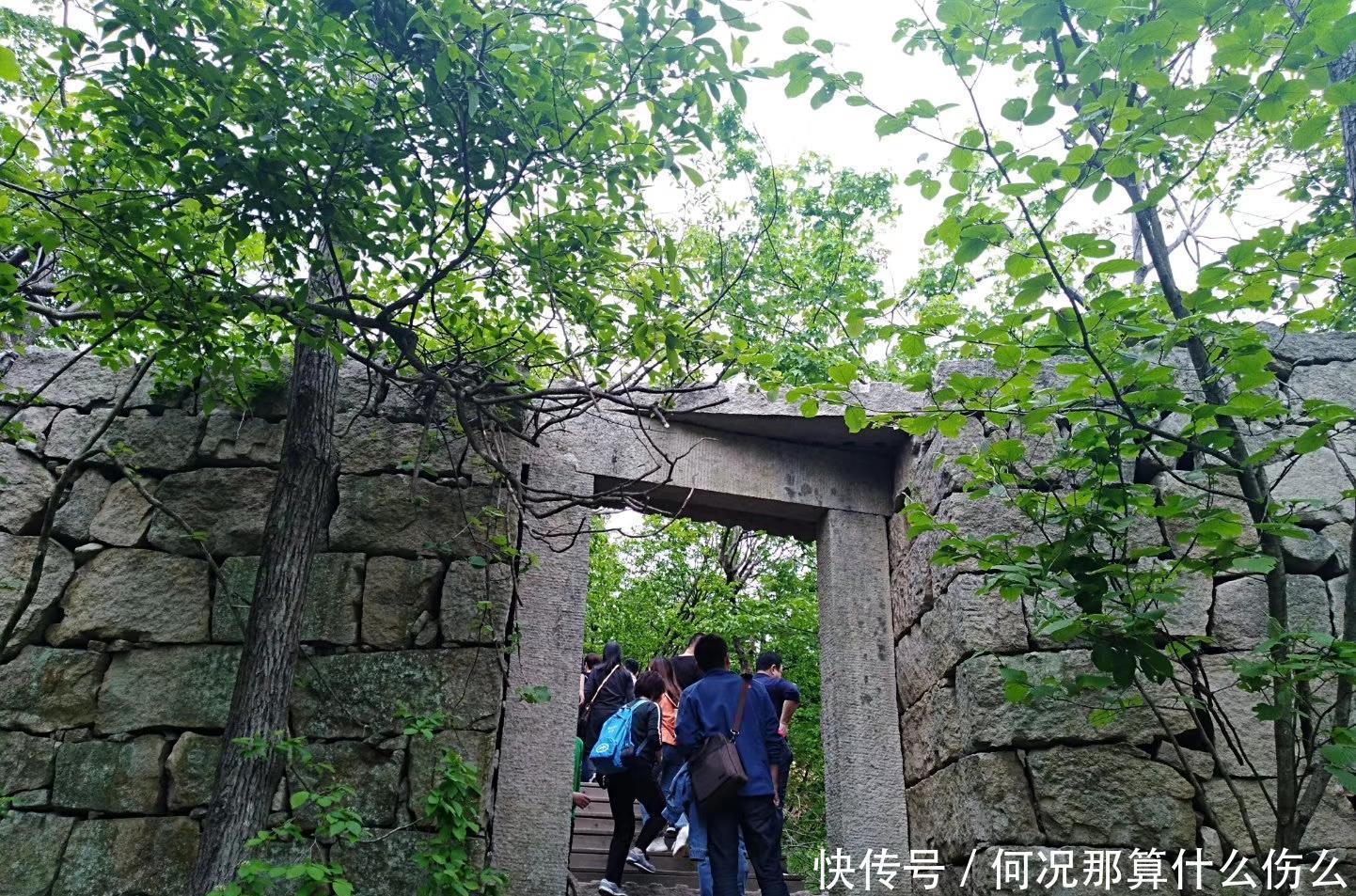  镇古寨■罗田县胜利镇古寨杜鹃