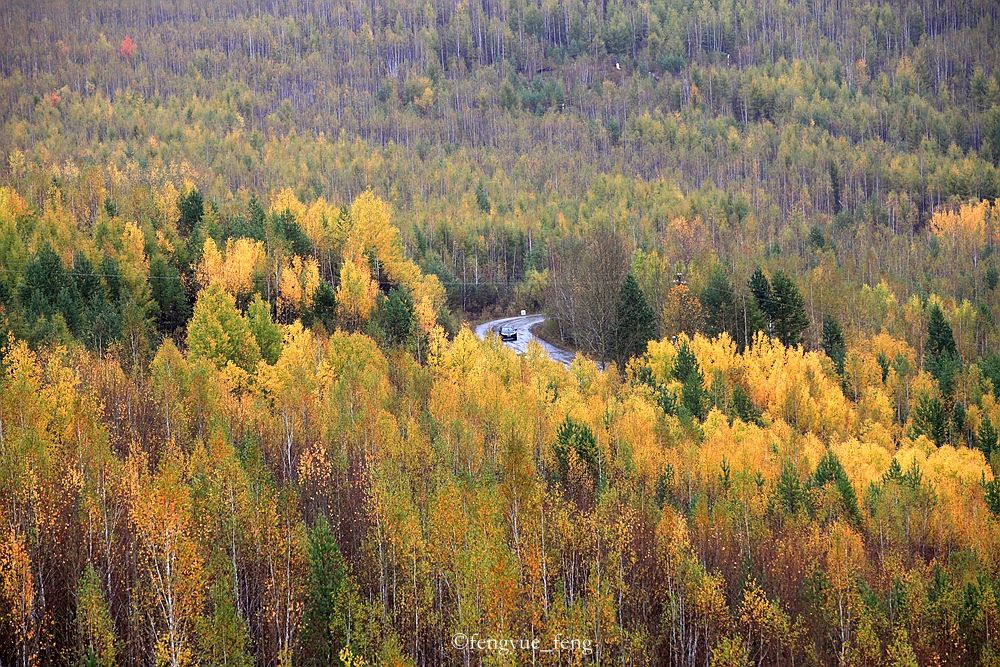 大兴安岭特大火灾澳洲火灾