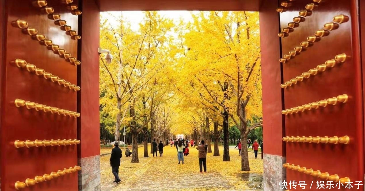 北京“最低调”公园,京城五坛之一门票仅2元?游客:太美了