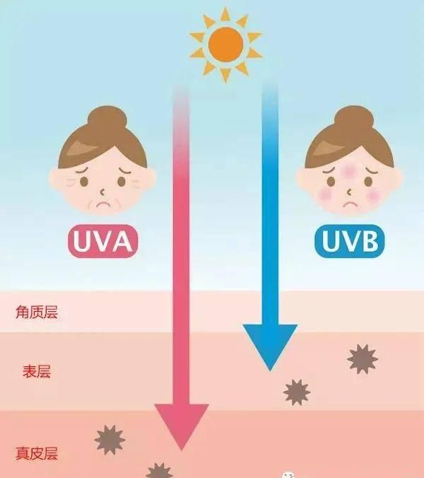  「皮肤」防晒不到位，轻易老十岁！初夏来临，这些防晒小知识赶紧get一下！