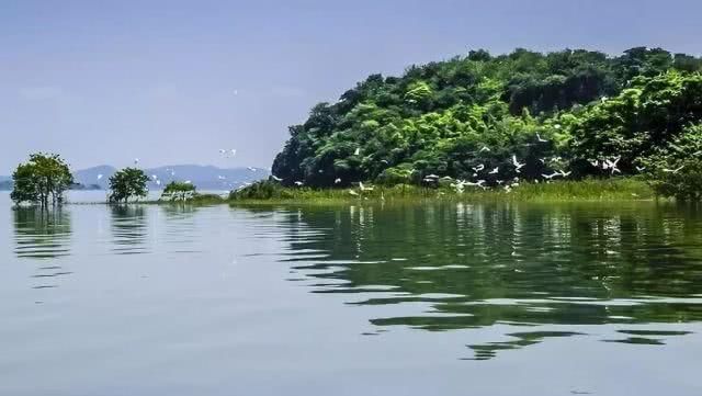  【湖泊】江西名气最大的一个湖泊，是中国第一大淡水湖，湖区有4
