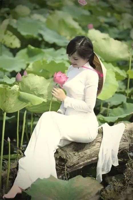  #盘点#盘点一组照片，来欣赏下美丽的越南风景吧！