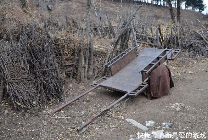 农民有福了！农村或将取消“村官”和“村长”将迎来新领导